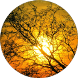 Profile photo of Salvo por Gracia