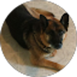 Profile photo of Ernest Ugo