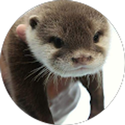 Profile photo of Kathleen Dauner