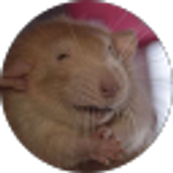 Profile photo of Adam Thompson