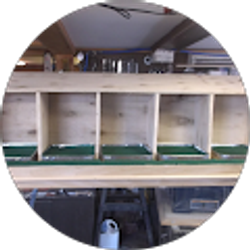 Profile photo of AMOS ADAMS