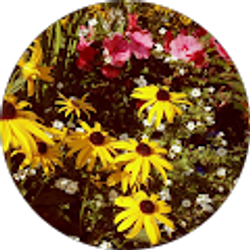 Profile photo of libby massa