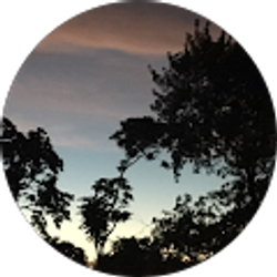 Profile photo of Jay Petty