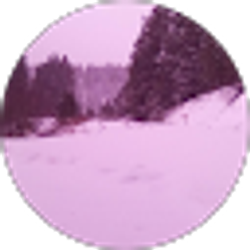 Profile photo of Sissy McComber