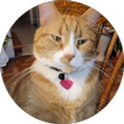 Profile photo of robert coquet