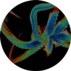 Profile photo of Cari Baumgartner