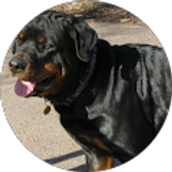 Profile photo of Julie Booz