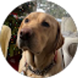 Profile photo of Sam Still