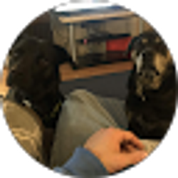 Profile photo of Adam Davison