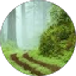 Profile photo of Leigh Ann M