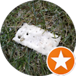 Profile photo of O trinity