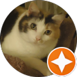 Profile photo of Jill W. Holmes