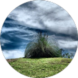 Profile photo of Lory Ferrell