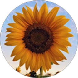 Profile photo of Adriana