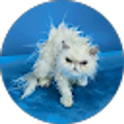 Profile photo of Hanging N. There