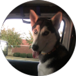 Profile photo of Travis Watson