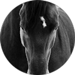 Profile photo of Natalie Allen