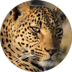 Profile photo of Shui Njiokiktjien