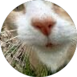 Profile photo of Doug Quale