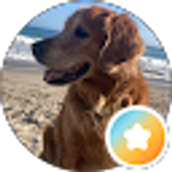 Profile photo of Traci W