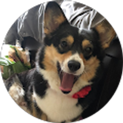 Profile photo of casey newbanks