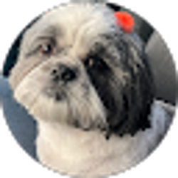 Profile photo of Jolene Melvin