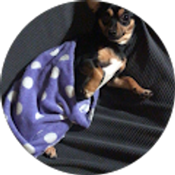 Profile photo of Eder Santiago (Bitchyidol)