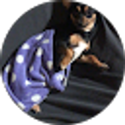 Profile photo of Eder Santiago (Bitchyidol)