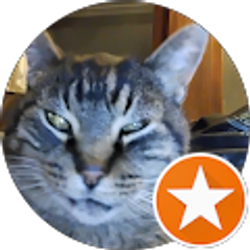 Profile photo of Dorothy Hicks