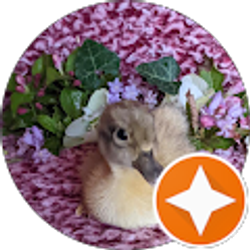 Profile photo of Sonny Pemberton