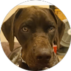 Profile photo of sherri williams