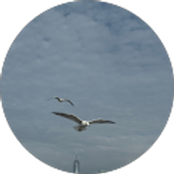 Profile photo of Amon Birgen