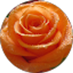 Profile photo of Sandra Czarnik