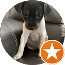 Profile photo of Malenia Nueva