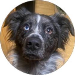 Profile photo of George