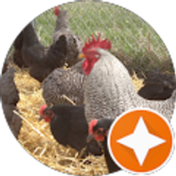 Profile photo of Mega moo