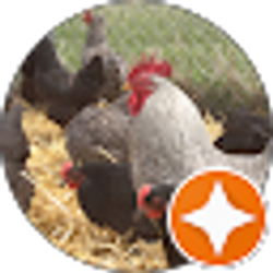 Profile photo of Mega moo