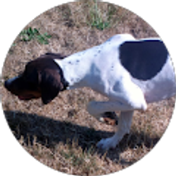 Profile photo of David Farah