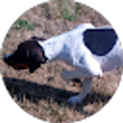 Profile photo of David Farah