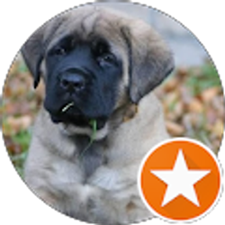 Profile photo of Darlene Gunter (Talia)