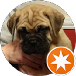 Profile photo of Martin Richardson