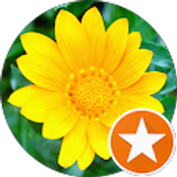 Profile photo of Alice Dreger