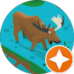 Profile photo of Jodi Kirko