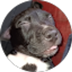 Profile photo of Carrie Underwood