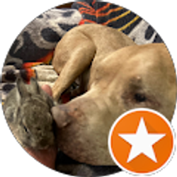 Profile photo of Amanda Taylor