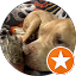 Profile photo of Amanda Taylor