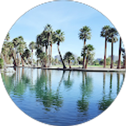 Profile photo of Dawood Shinwari