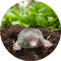 Profile photo of your 15