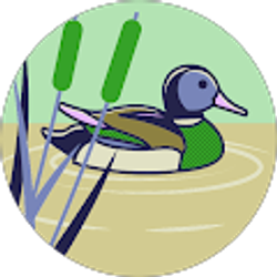 Profile photo of JD Daigle