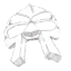 Profile photo of jamal karemo